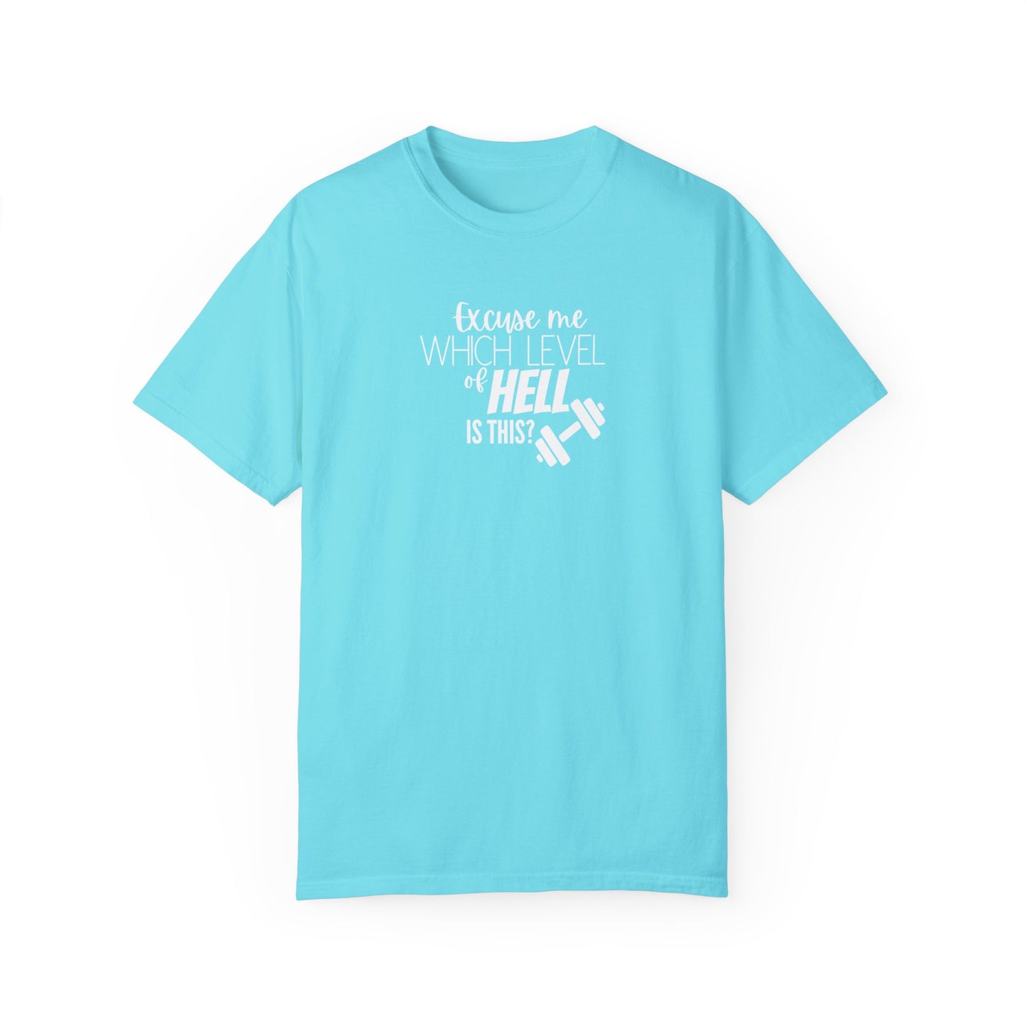 Excuse Me Which Level of Hell is This T-Shirt